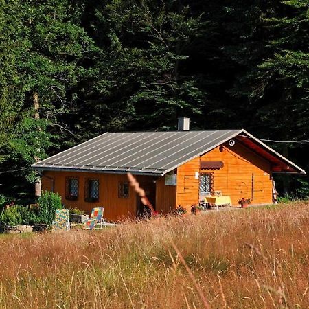 Haus An Der Bergwiese Waldkirchen Luaran gambar